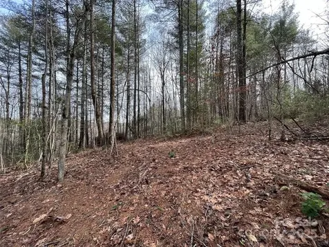 3.16 Acres Lot 77, 1712 Round Mountain Parkway Lenoir NC 28645