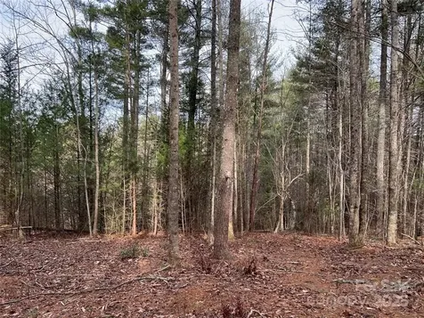 3.16 Acres Lot 77, 1712 Round Mountain Parkway Lenoir NC 28645