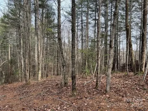 3.16 Acres Lot 77, 1712 Round Mountain Parkway Lenoir NC 28645
