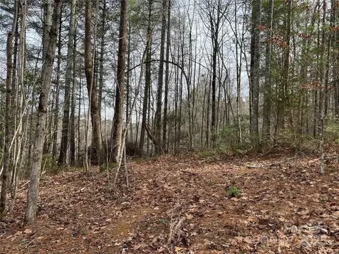 3.16 Acres Lot 77, 1712 Round Mountain Parkway Lenoir NC 28645