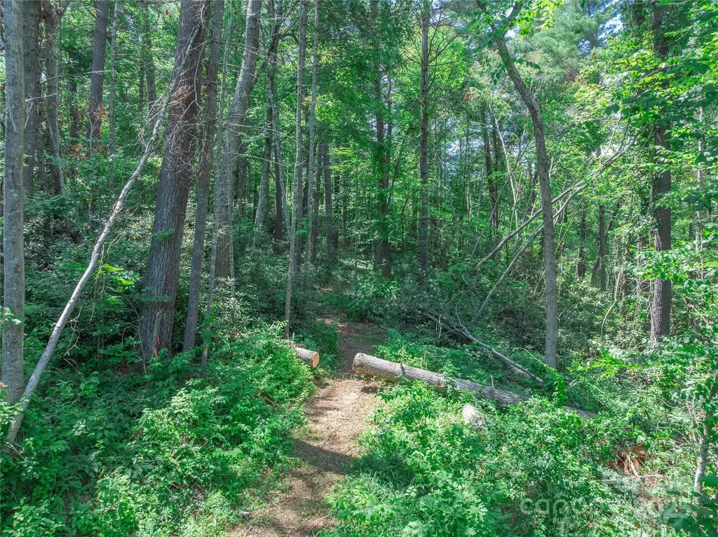 52 Trail Top Drive Asheville NC 28805