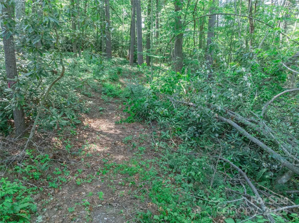 52 Trail Top Drive Asheville NC 28805