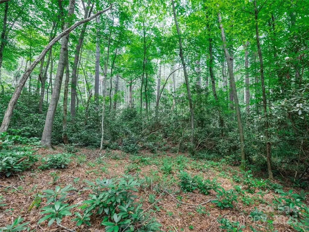52 Trail Top Drive Asheville NC 28805