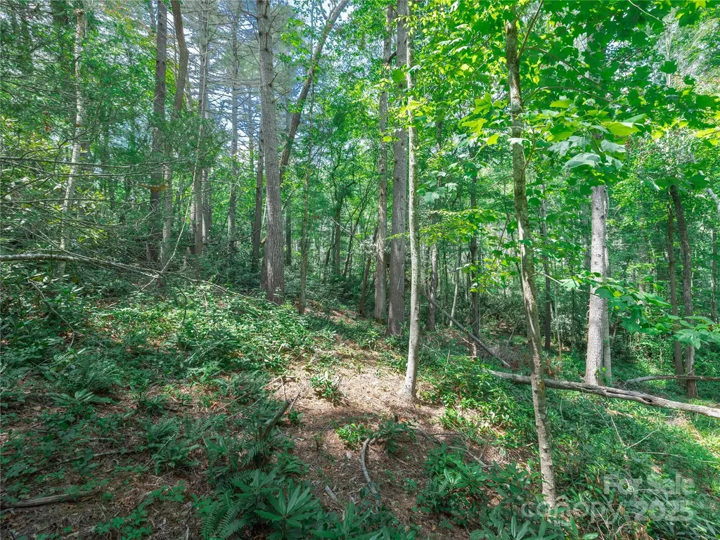 52 Trail Top Drive Asheville NC 28805