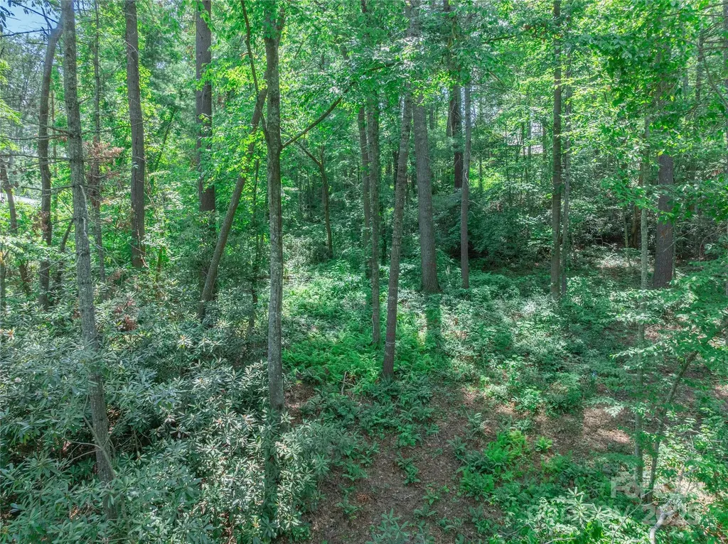 52 Trail Top Drive Asheville NC 28805