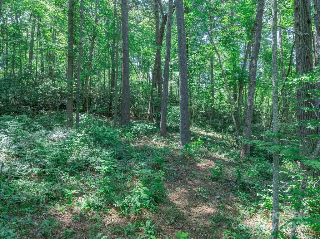52 Trail Top Drive Asheville NC 28805