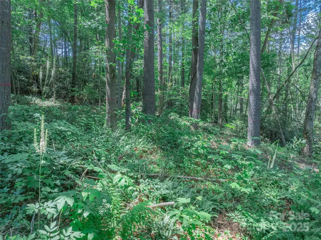 52 Trail Top Drive Asheville NC 28805
