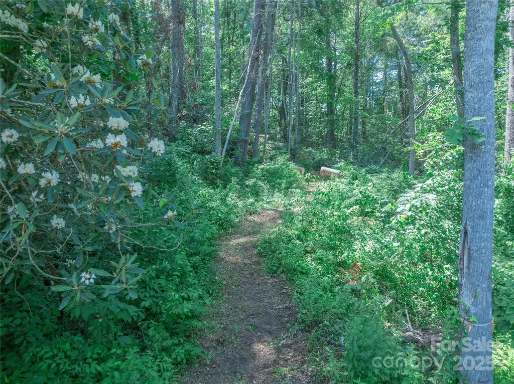 52 Trail Top Drive Asheville NC 28805