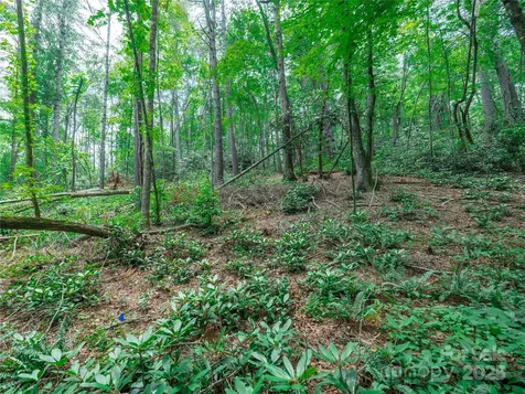 52 Trail Top Drive Asheville NC 28805