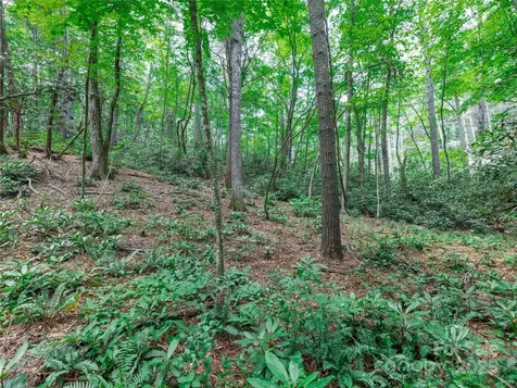 52 Trail Top Drive Asheville NC 28805