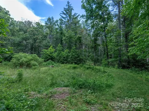 52 Trail Top Drive Asheville NC 28805