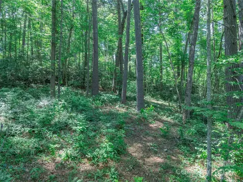 52 Trail Top Drive Asheville NC 28805