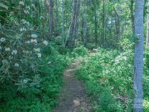 52 Trail Top Drive Asheville NC 28805