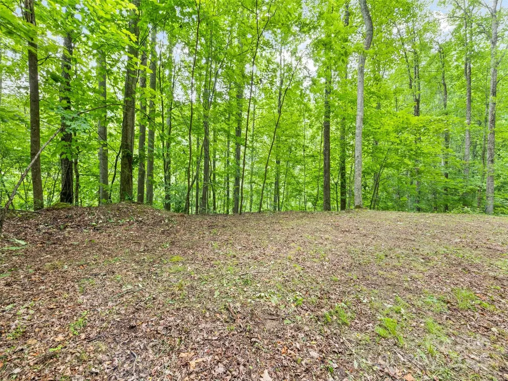 13 Galega Trail Maggie Valley NC 28751