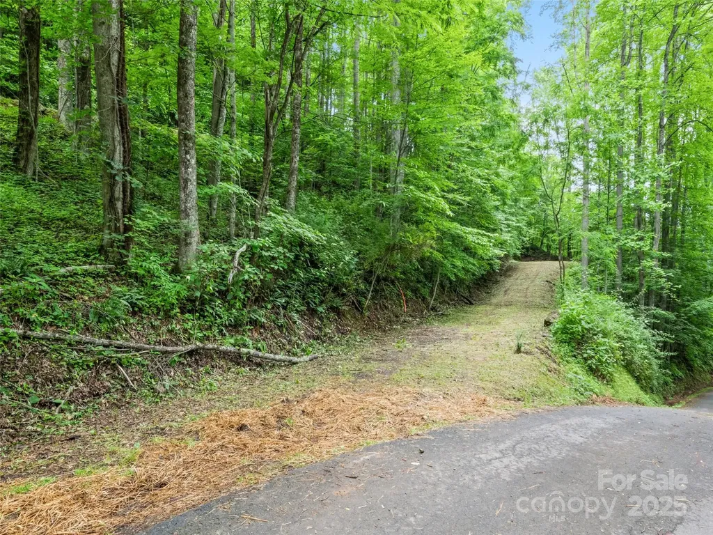 13 Galega Trail Maggie Valley NC 28751