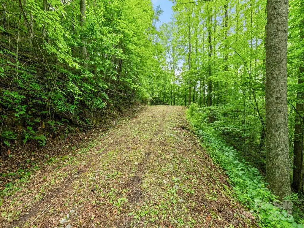 13 Galega Trail Maggie Valley NC 28751