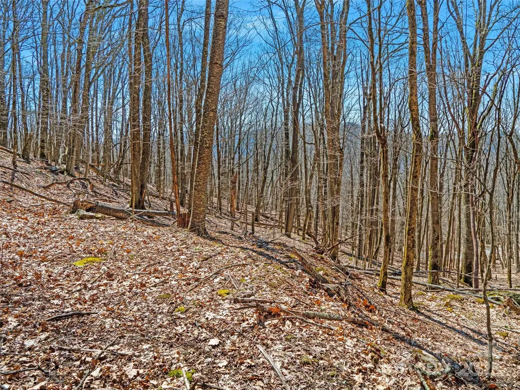 00 Tearshirt Lane Mars Hill NC 28754