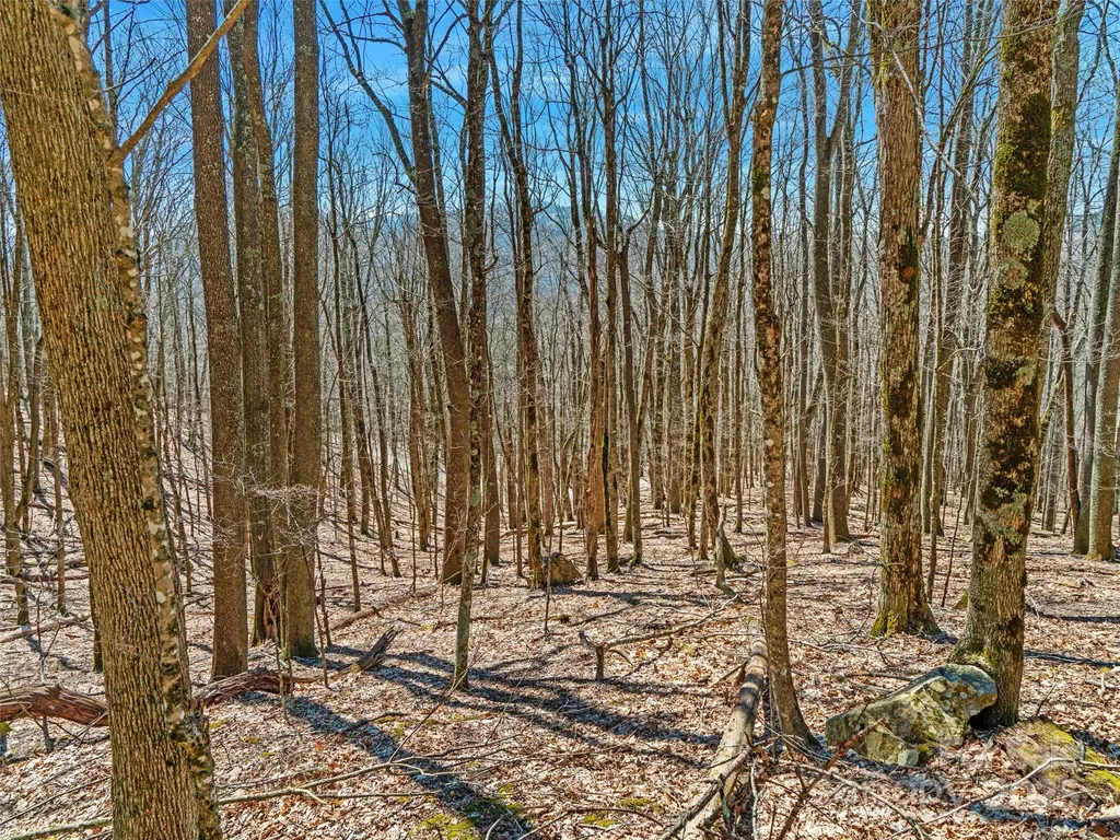 00 Tearshirt Lane Mars Hill NC 28754