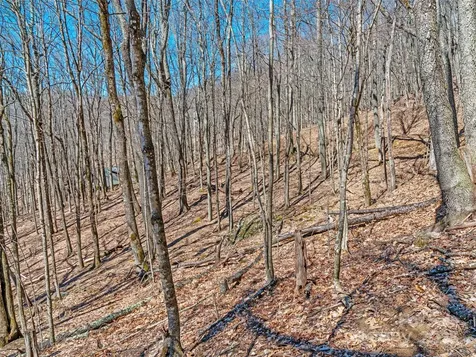 00 Tearshirt Lane Mars Hill NC 28754