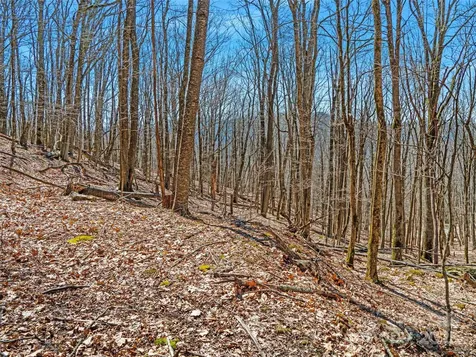 00 Tearshirt Lane Mars Hill NC 28754