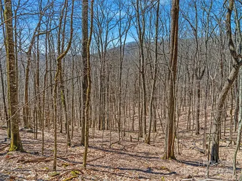 00 Tearshirt Lane Mars Hill NC 28754