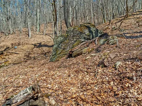 00 Tearshirt Lane Mars Hill NC 28754