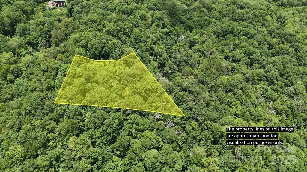 00 Logging Trail Maggie Valley NC 28751
