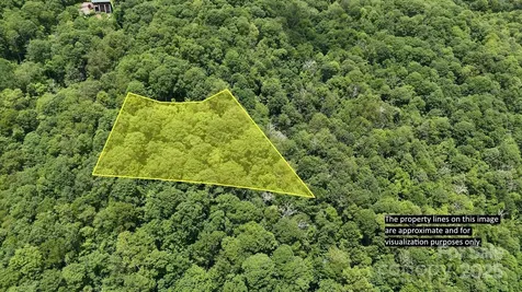 00 Logging Trail Maggie Valley NC 28751