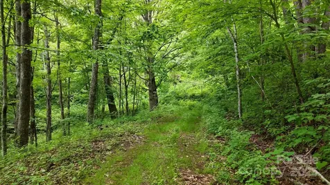 00 Logging Trail Maggie Valley NC 28751