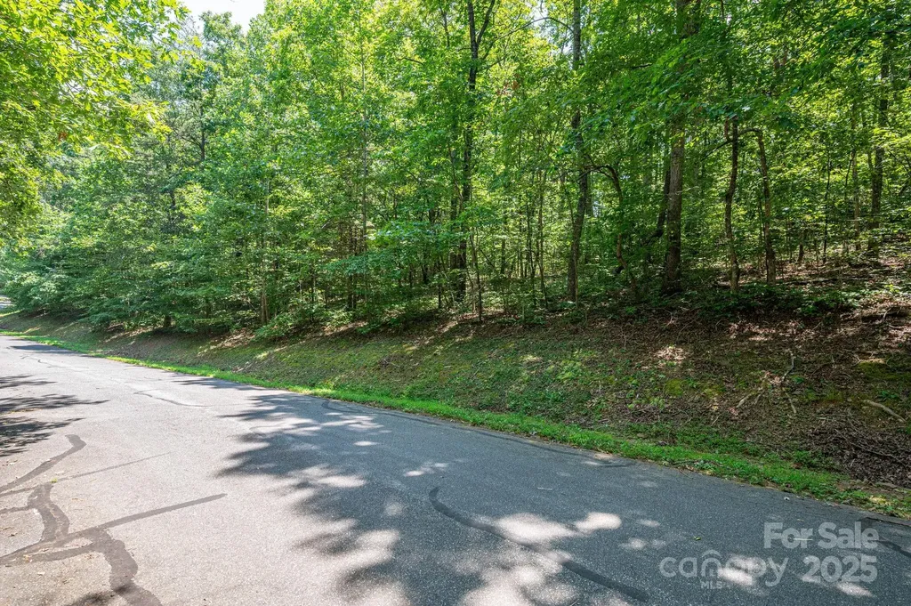 Lot #49 Moss Drive Rutherfordton NC 28139