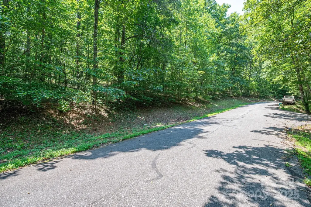 Lot #49 Moss Drive Rutherfordton NC 28139
