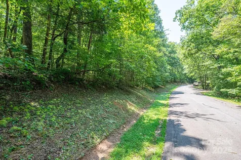 Lot #49 Moss Drive Rutherfordton NC 28139