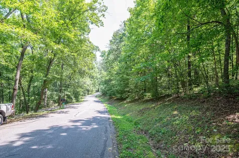 Lot #49 Moss Drive Rutherfordton NC 28139