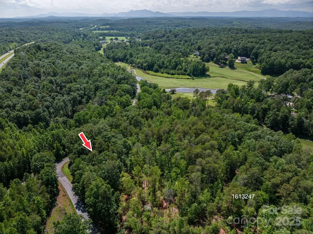 Lot #6 Cleghorn Mill Road Rutherfordton NC 28139