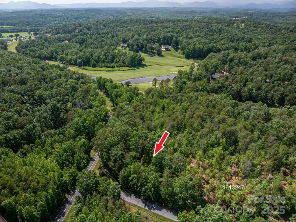 Lot #6 Cleghorn Mill Road Rutherfordton NC 28139