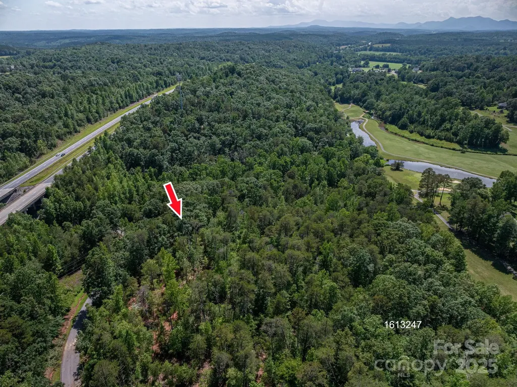 Lot #6 Cleghorn Mill Road Rutherfordton NC 28139