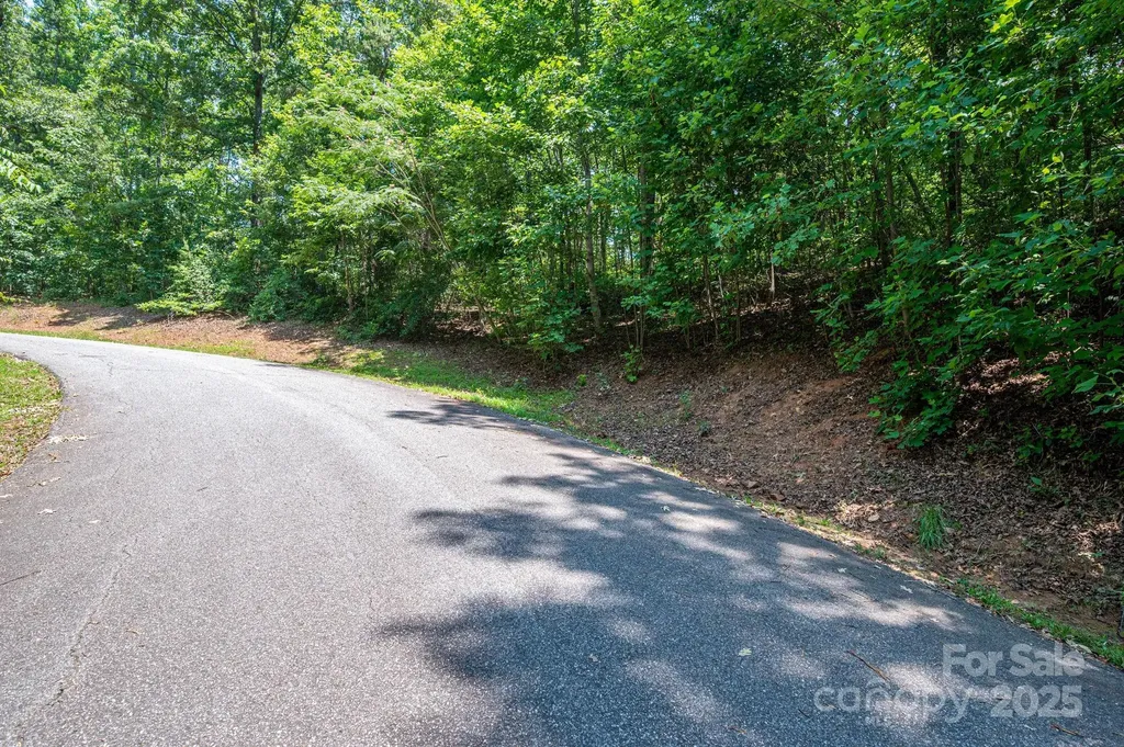 Lot #36 Moss Drive Rutherfordton NC 28139