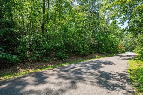 Lot #36 Moss Drive Rutherfordton NC 28139