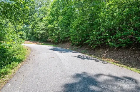 Lot #36 Moss Drive Rutherfordton NC 28139