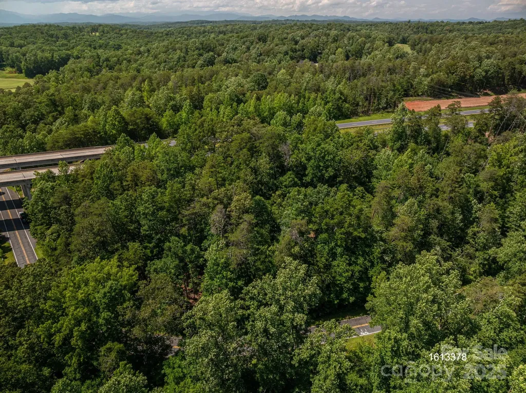 Lot #69 Cleghorn Mill Road Rutherfordton NC 28139