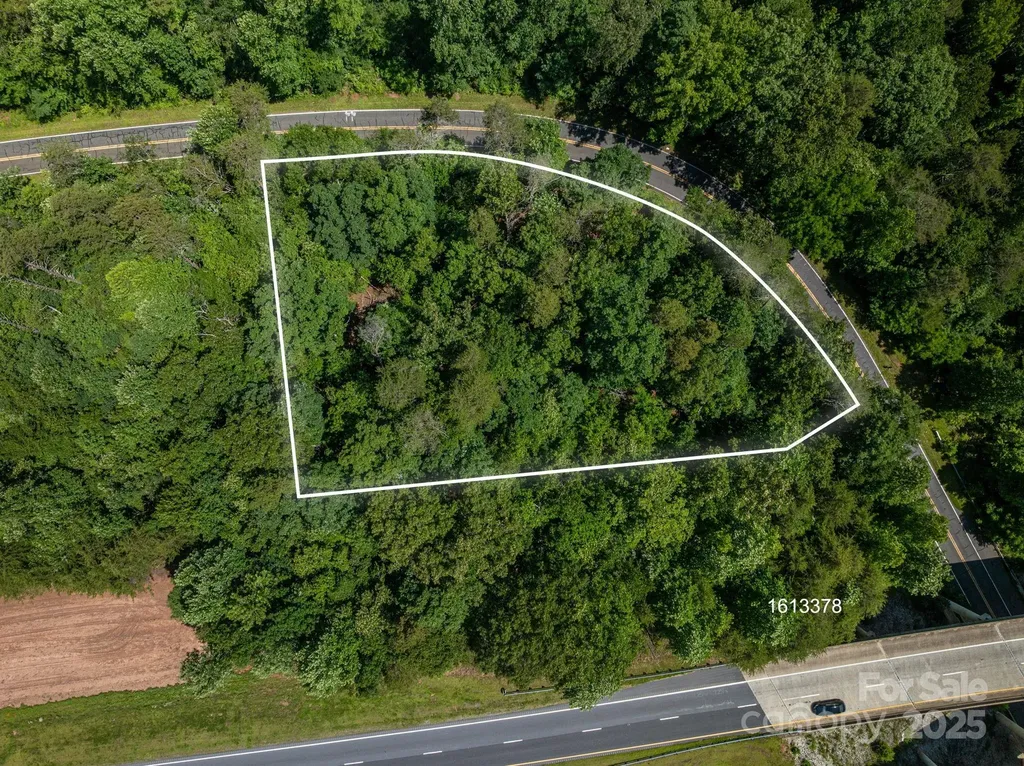 Lot #69 Cleghorn Mill Road Rutherfordton NC 28139