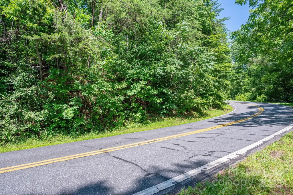 Lot #69 Cleghorn Mill Road Rutherfordton NC 28139