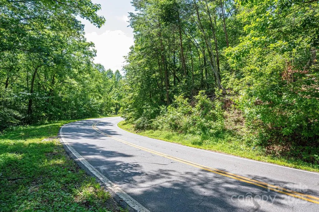 Lot #69 Cleghorn Mill Road Rutherfordton NC 28139