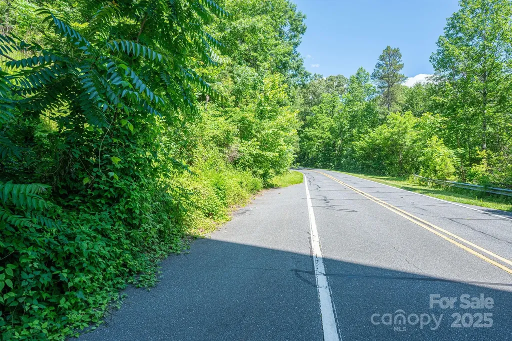 Lot #69 Cleghorn Mill Road Rutherfordton NC 28139