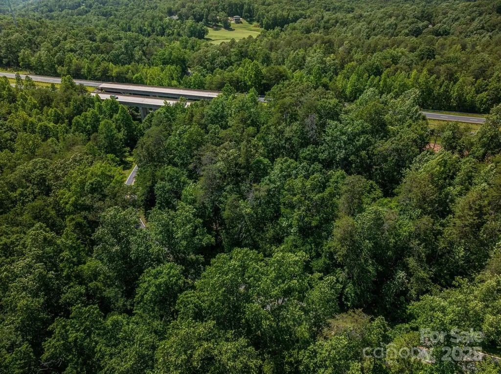 Lot #69 Cleghorn Mill Road Rutherfordton NC 28139