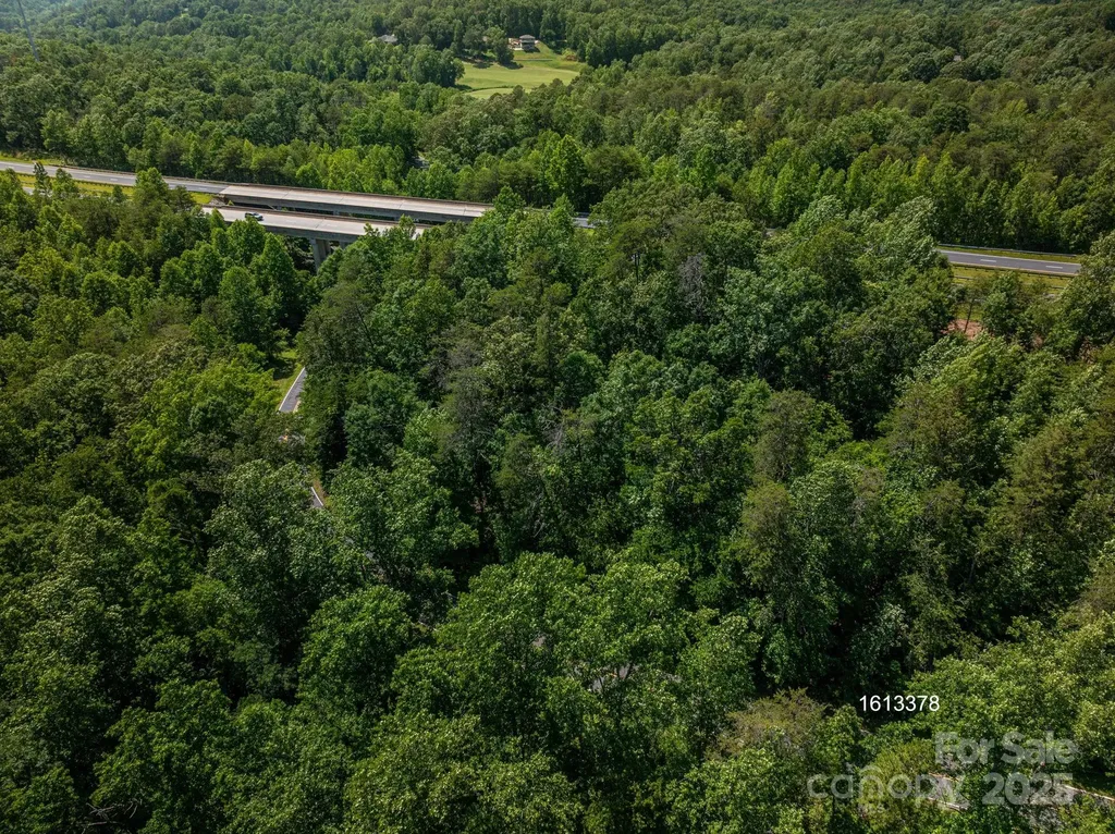 Lot #69 Cleghorn Mill Road Rutherfordton NC 28139
