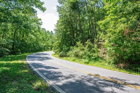 Lot #69 Cleghorn Mill Road Rutherfordton NC 28139