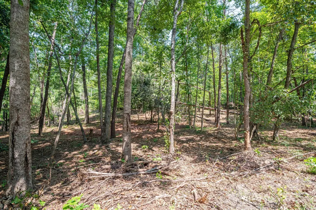 Lot 0 Annapolis Court Rutherfordton NC 28139