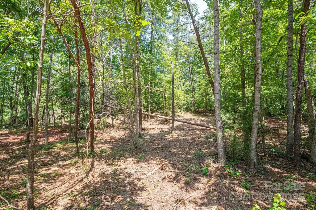 Lot 5 Annapolis Court Rutherfordton NC 28139
