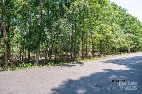 Lot 5 Annapolis Court Rutherfordton NC 28139